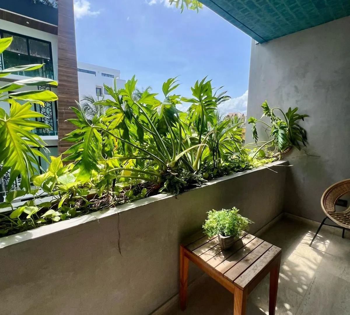 Comfort & Beauty On 5Th Avenue Playa del Carmen 0*,  Mexico